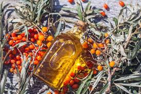 اسیدهای چرب امگا - روغن گیاه خولان دریایی یا  sea buckthorn oil 
