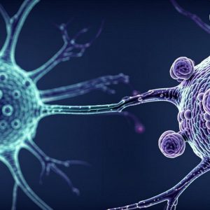 اتوفازی و رابطه آن با بیماری های عصبی مانند پارکینسون