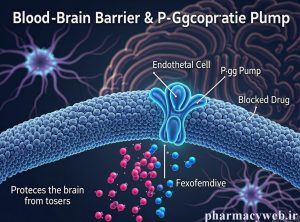نقش سد خونی مغزی و پمپ P-glycoprotein در کاهش سدیشن فکسوفنادین